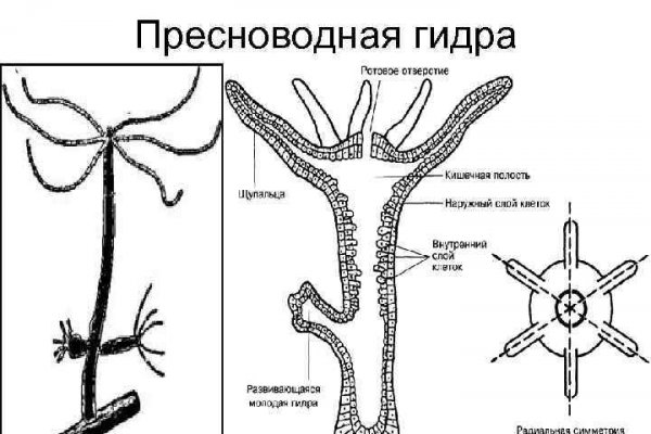 Не могу зайти на кракен